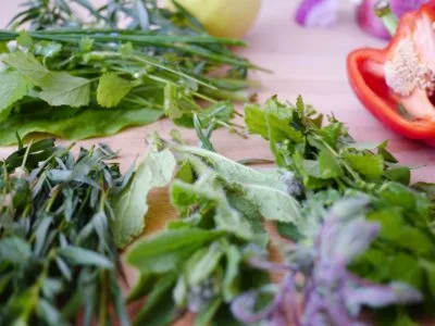 alimentation,santé,nutrition