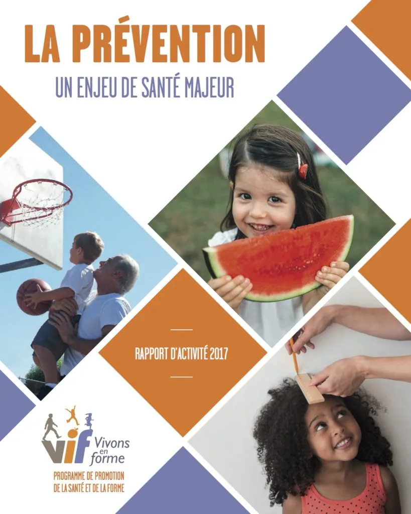Rapport d'activité 2017 image