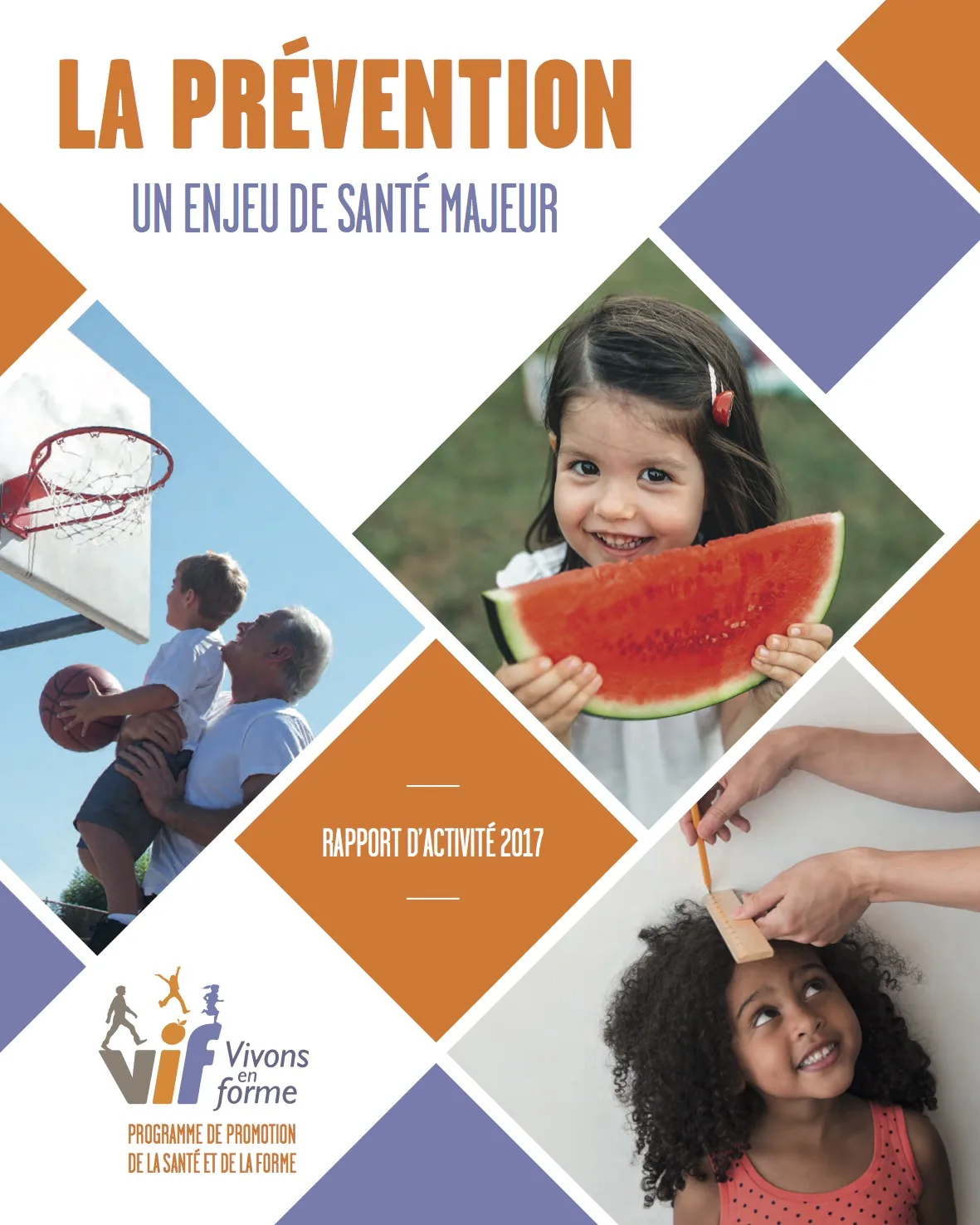 Rapport d'activité 2017 image